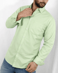 Mens Light Green Formal Shirt by Black Rose Point